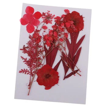 

Mixed Pressed Dried Flowers Leaves for Scrapbooking Cards Making Decorations