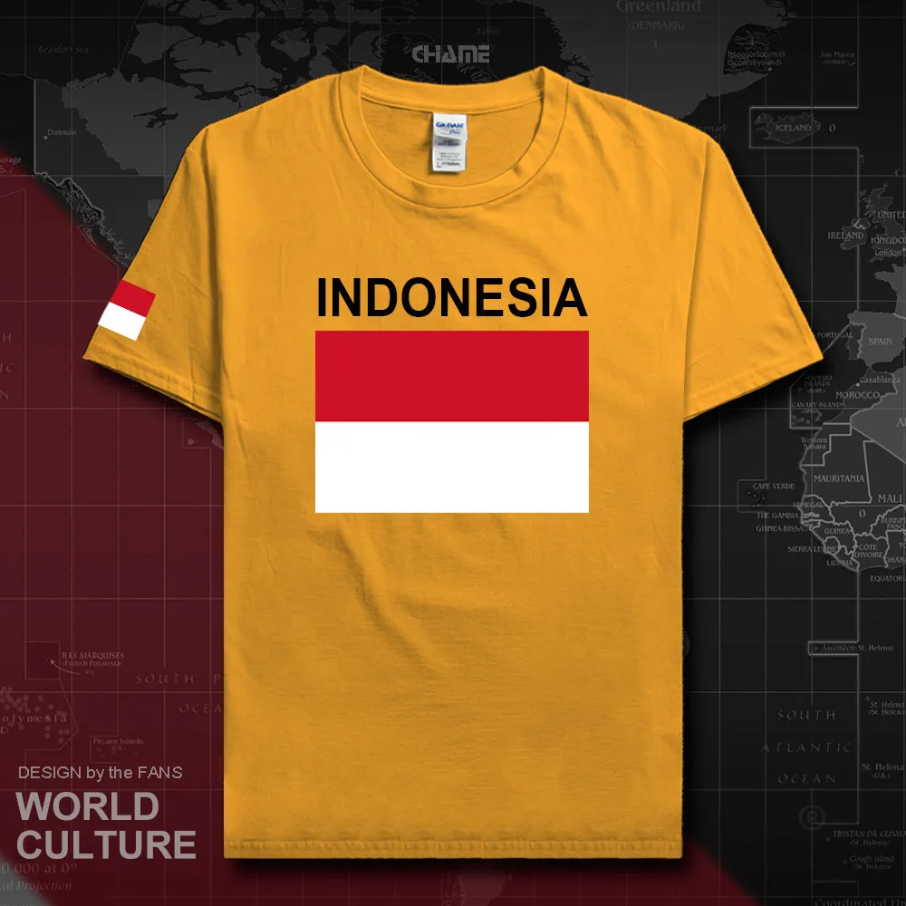 HNAT_Indonesia02_T01gold