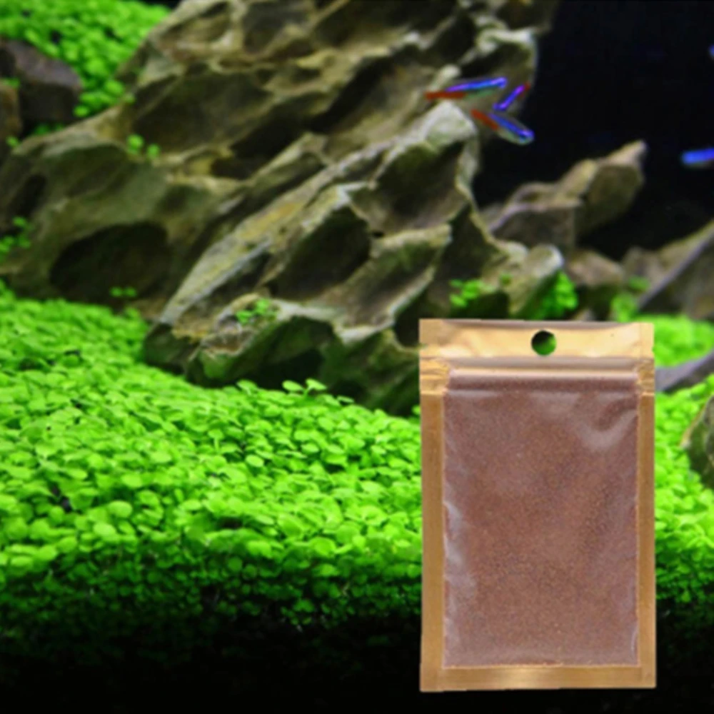 Buy 1 Bag Aquarium Plant Seeds Water Grasses Aquatic