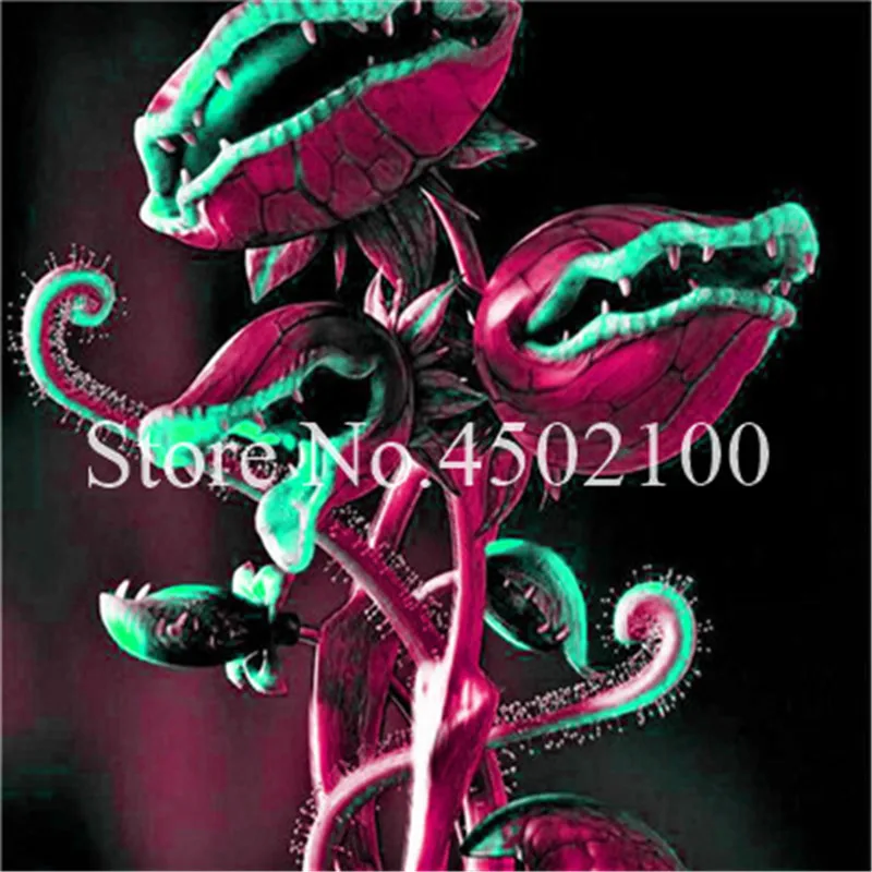 New Arrival ! Home Garden 200 Pcs Venus Fly Trap Bonsai Dionaea Muscipula Carnivorous Plants Free Shipping Diy Plant Semente New Arrival ! Home Garden 200 Pcs Venus Fly Trap Bonsai Dionaea Muscipula Carnivorous Plants Free Shipping Diy Plant Semente