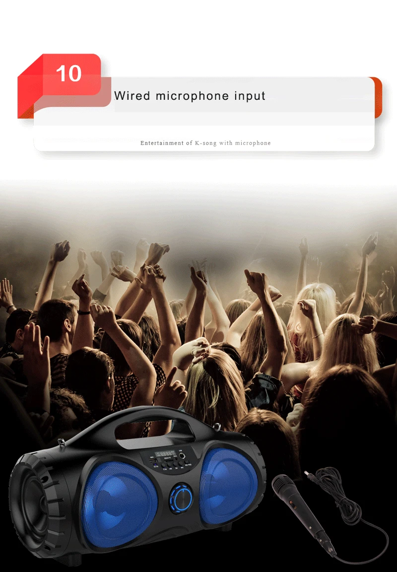 ZIENSTAR 10 Вт беспроводной Bluetooth спортивный динамик, портативный наружный сабвуфер с ручкой, поддержка TF/USB карты, fm-радио, микрофон