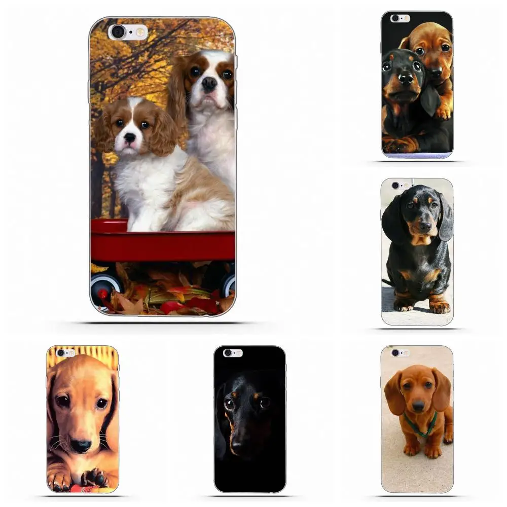 

For Sony Xperia Z Z1 Z2 Z3 Z4 Z5 compact Mini Premium M2 M4 M5 T3 E3 E5 XA Soft Cases Fundas lovely animal dachshund dog puppy