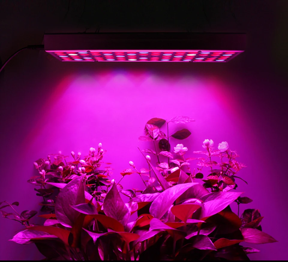 Cheap Luzes LED crescimento plantas