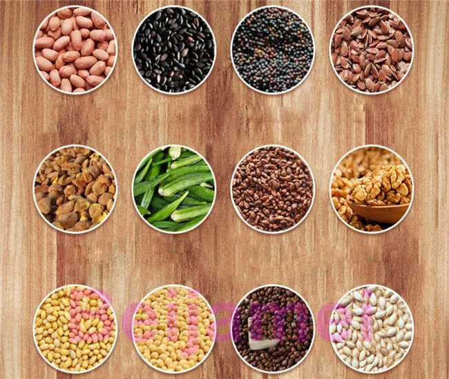 seed oil press