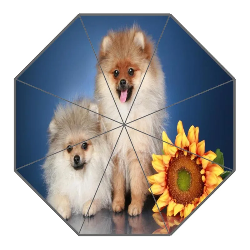 Новое поступление, померанские зонты для собак, неавтоматический складной женский зонтик от дождя, индивидуальный модный портативный зонтик, подарок - Цвет: 3