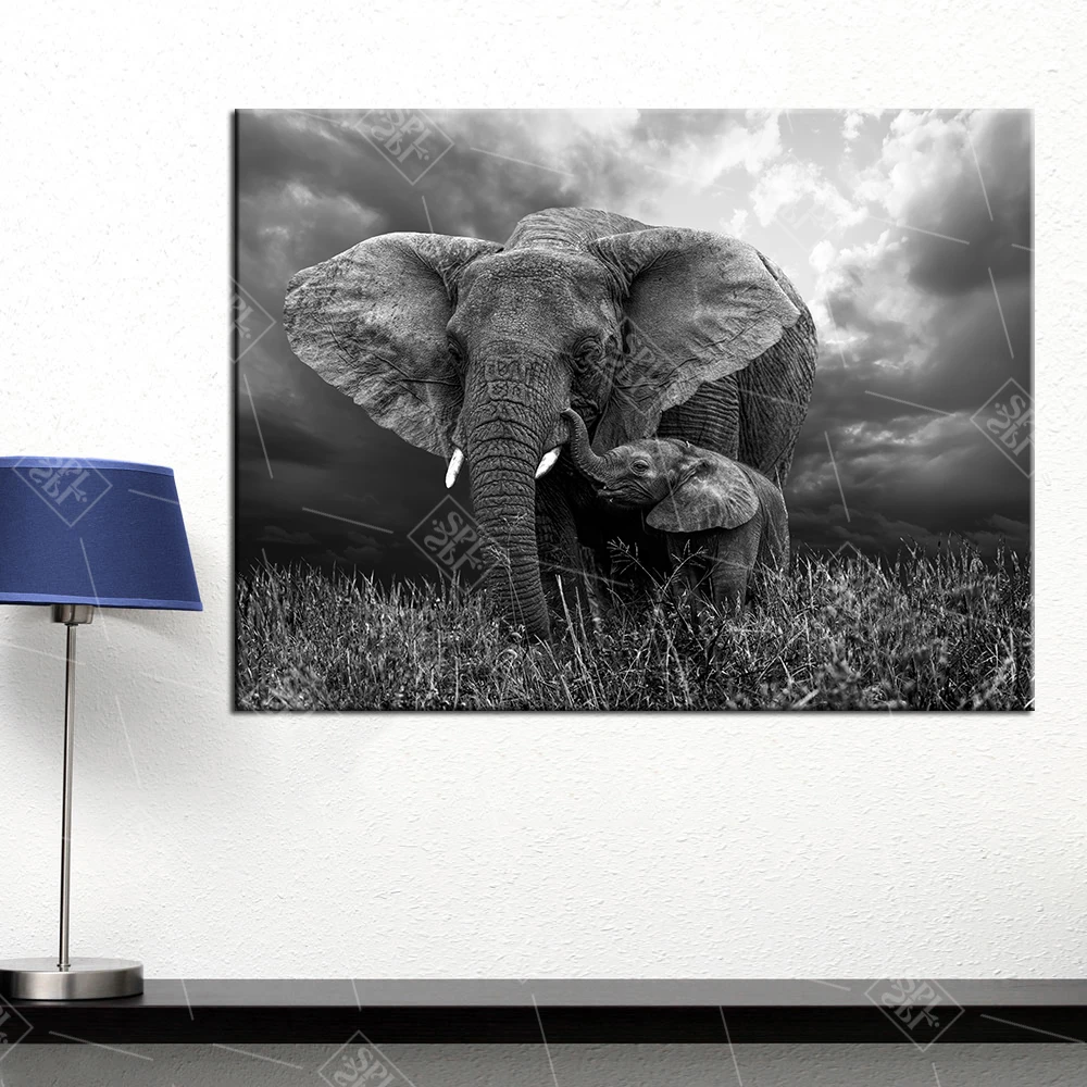 Modern Hitam Dan Putih Gajah Hewan Kanvas Lukisan Hd Print Nursery Bayi Kamar Poster Dan Cetakan Dekorasi Dinding Seni Gambar Painting Calligraphy Aliexpress