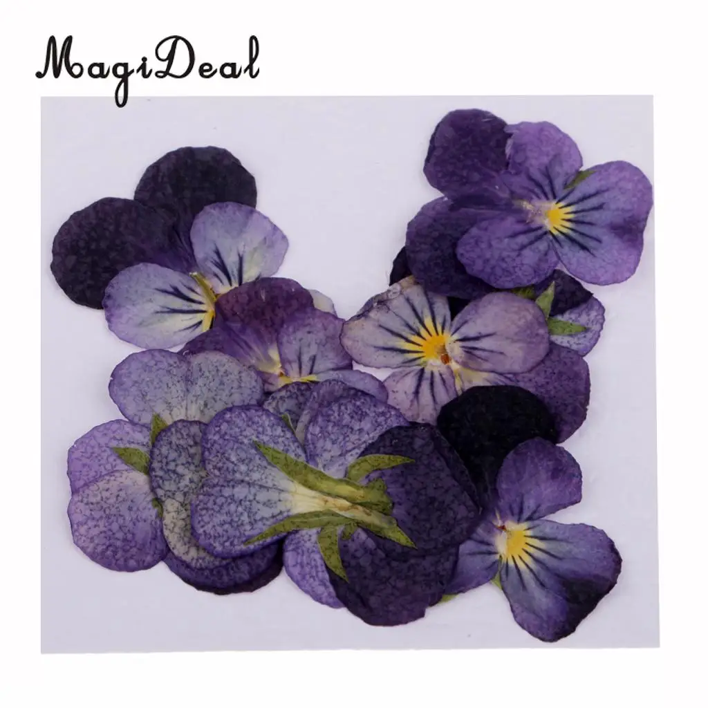 22pc Assorted Dried Pressed Flowers Real Violet & Sage Plant Herbarium For Scrapbooking Card Making DIY Jewelry Phone Case Craft