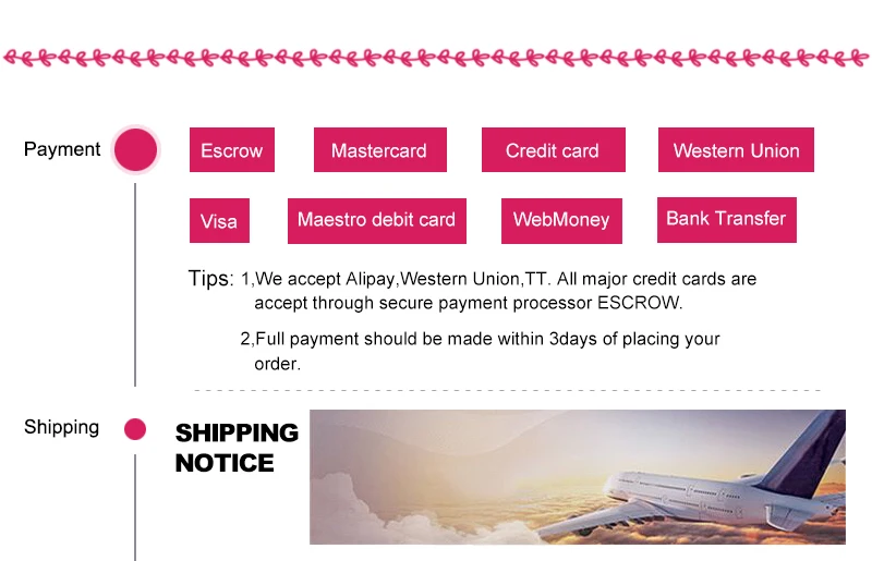 Payment1