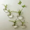 Suspendus verre Vase fleur planteur Pot Terrarium conteneur maison jardin décor ► Photo 1/6