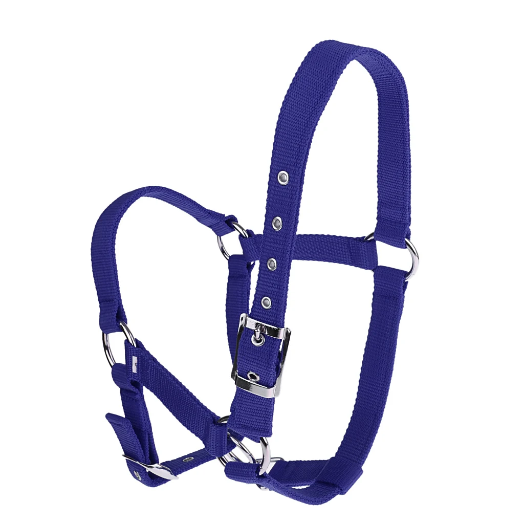 

Strong and Durable Adjustable Webbing Equestrian Horse Halter Horse Riding Wear Adjustable Equestrian Horse Halter