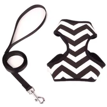 B переноска для собак, рюкзак для путешествий на плечо, сумки для собак, Воздухопроницаемый моющийся рюкзак для прогулок на велосипеде