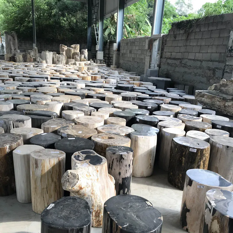 880 Koleksi Kursi Kayu Fosil Gratis