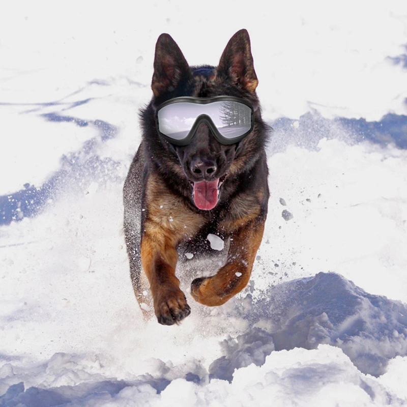 Dog Sunglasses UV Protection Windproof Goggles Pet Eye Wear Medium Large Dog Swimming Skating Glasses Accessaries Pet Supplies