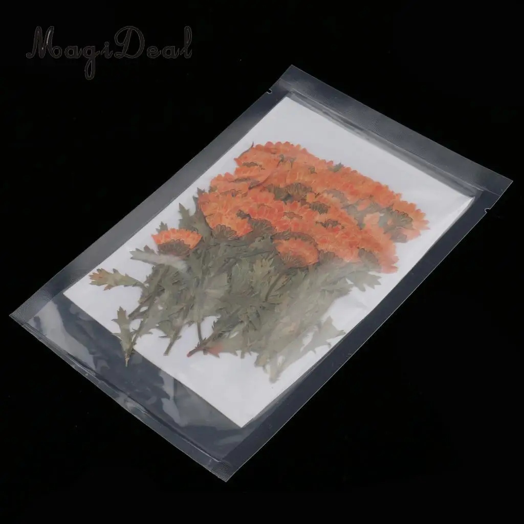 MagiDeal 50pcs Beautiful Pressed Rose Flower Dried Flowers for Art Craft Scrapbooking Card Making House Decoration