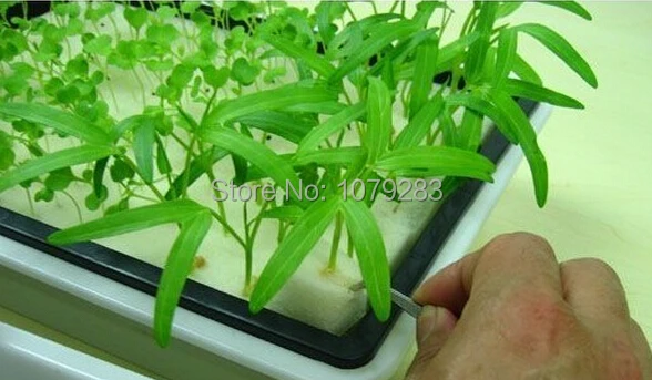 Foam cubes and tray set for starting seeds for hydroponics system