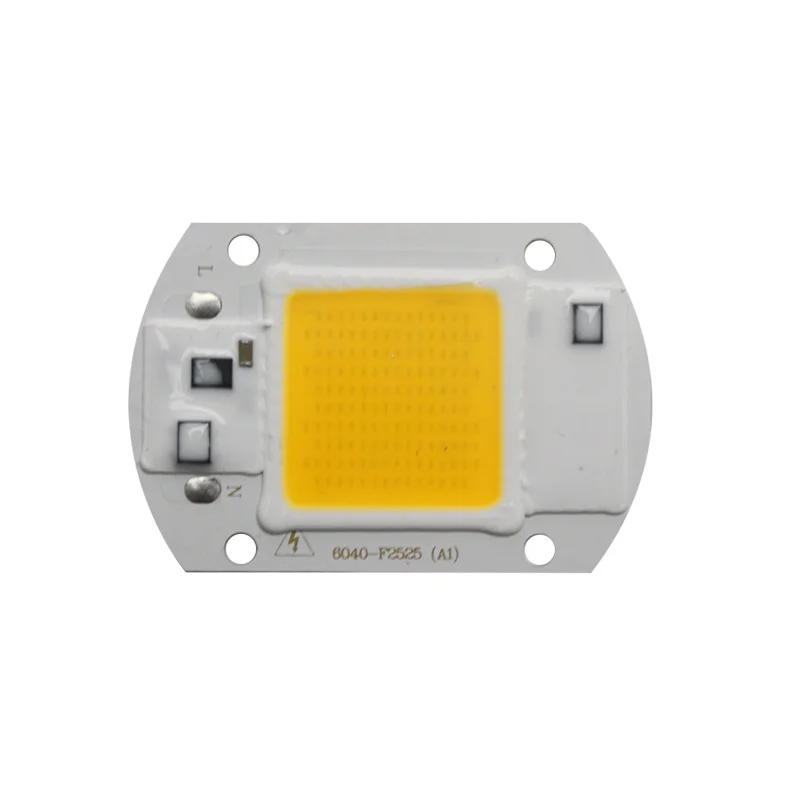 Высокая мощность светодиодный 50 Вт 30 Вт 20 Вт COB светодиодный чип лампы 220 В 110 В Smart IC без драйвера высокая яркость чип для светодиодной лампы для прожектора