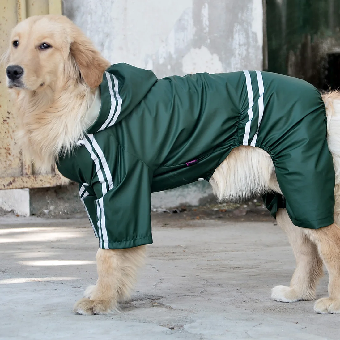 

4 Color Pet Dog Raincoats Big Dogs Waterproof Clothes Dog Raincoat Poncho Big Rain Jackets 3XL-7XL