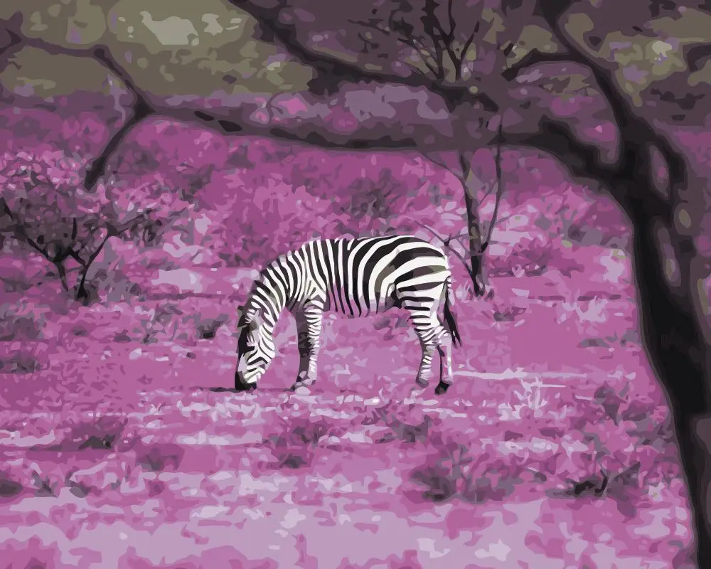 

MaHuaf-j479 Kenya zebra painting by numbers cuadros decoracion wall art decor pictures for living room