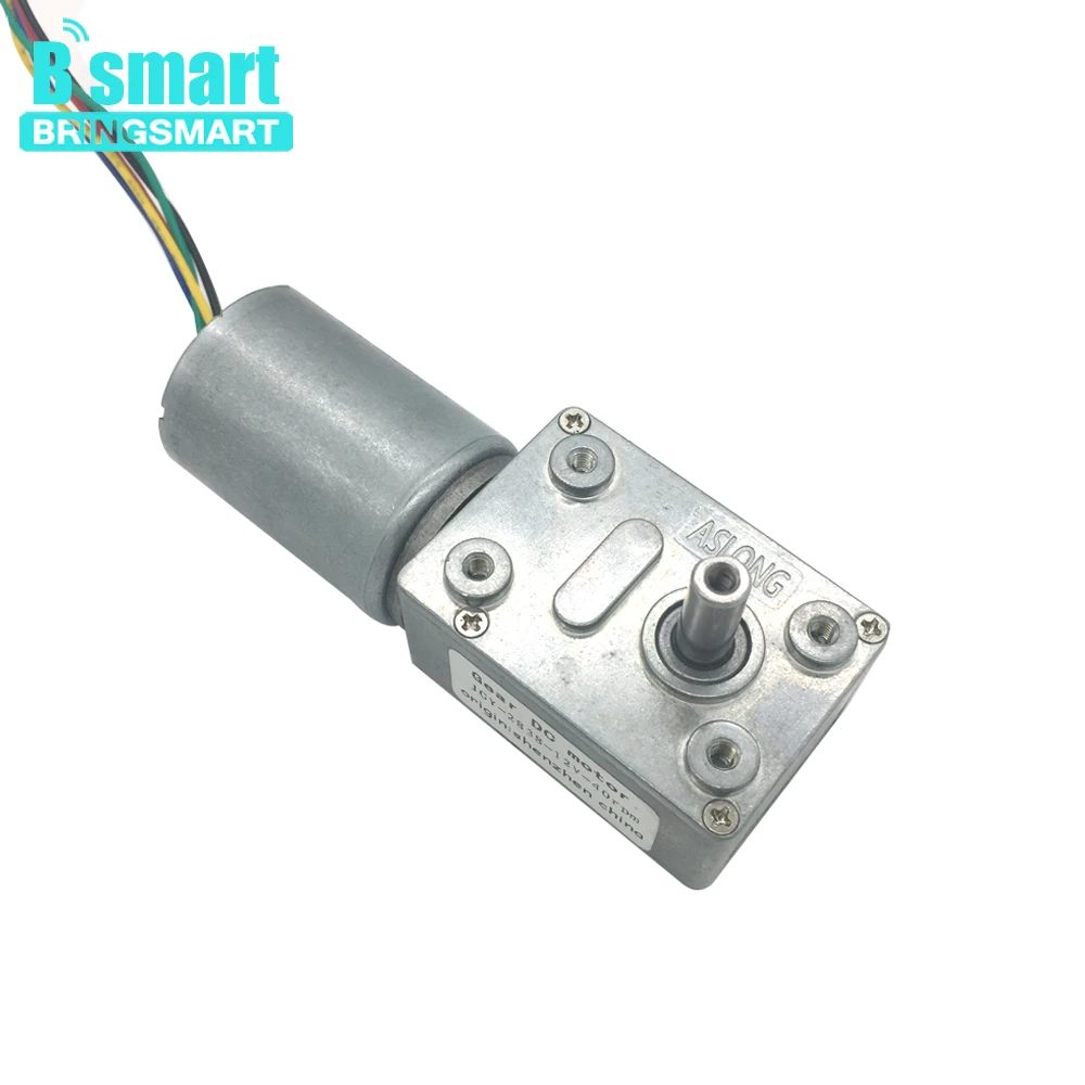 

Bringsmart JGY-2838 DC 12V 24V Worm Gear Motor High Torque Reductor Reversed Self-lock Turbo-reducing Built-in Driver Gearmotor