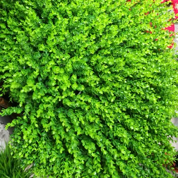 

ONE Plastic Eucalyptus Leave Turf 60 X 40cm Fake Grass Mat Artificial Green Leaf Carpet for Greenery Wall Background Decoration