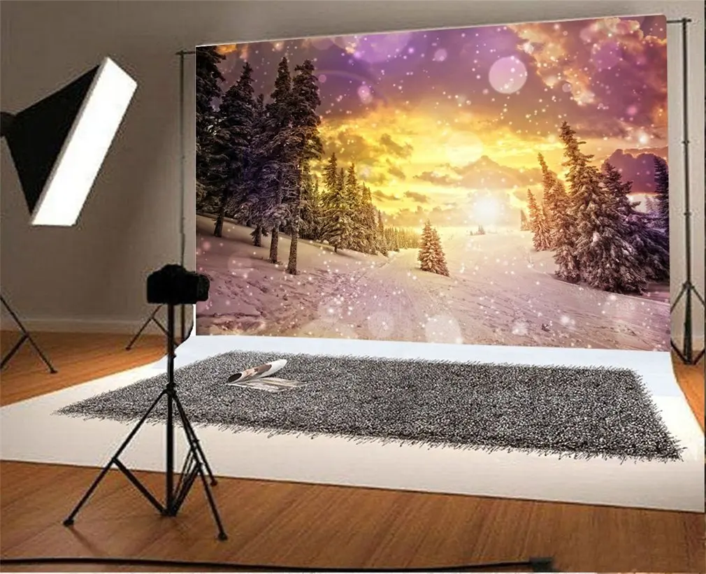 

Photography Backdrop Bokeh Halos Glitter Spots Christmas Trees Snow Scene Photo Background Party