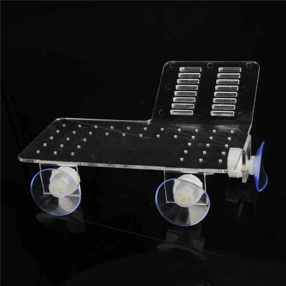 YW208Transparent  (4)