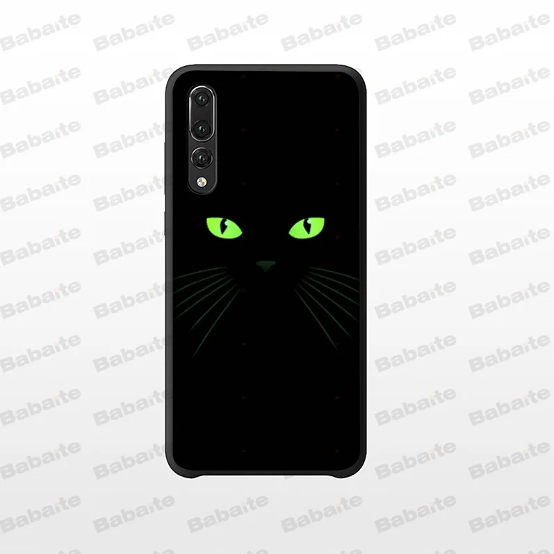 Black Cat Staring Eye