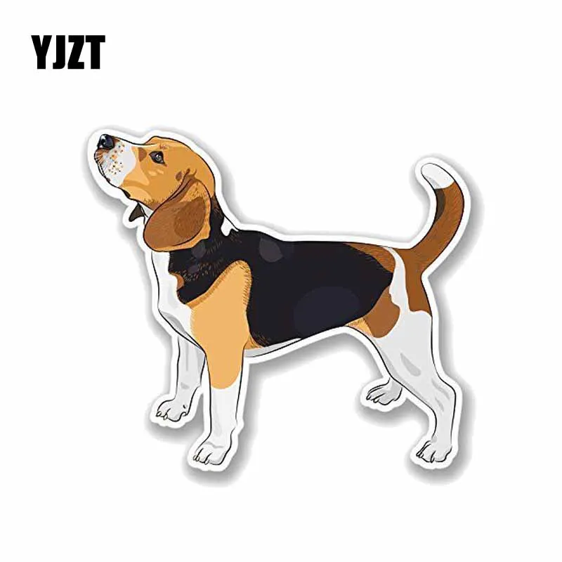 YJZT 13 5*12 см Beagle Dog ПВХ Автомобильный декоративный автомобильный стикер Переводные
