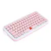 Mouse & Keyboards
