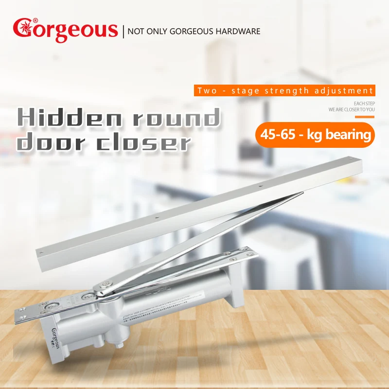 

Gorgeous Aluminum Alloy Invisible Hidden Door Closer Household Hyraulic Buffer Hidden Automatic Door Close Hardware