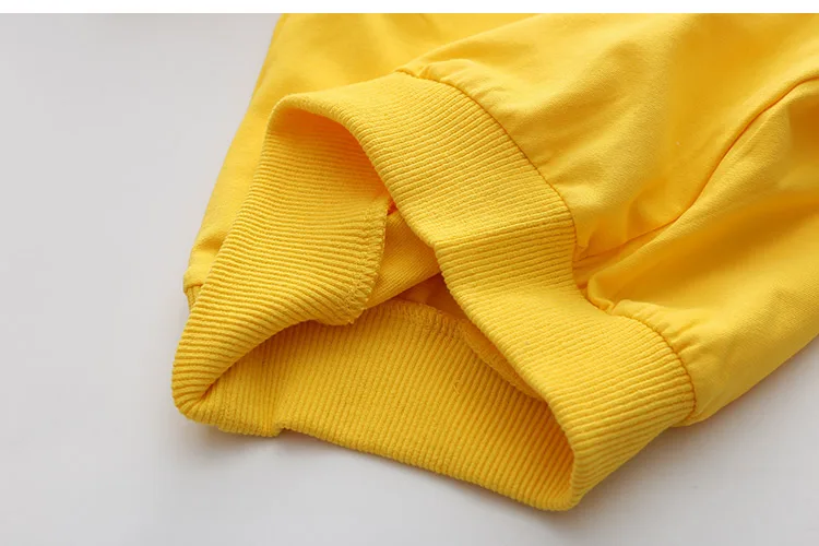 2018 Spring Autumn 2-10 11 12 Years Old Teenager Children Patchwork Fake 2 Pcs Baby Kids Basic Sweatshirt For Girls 11 12 Years (25)