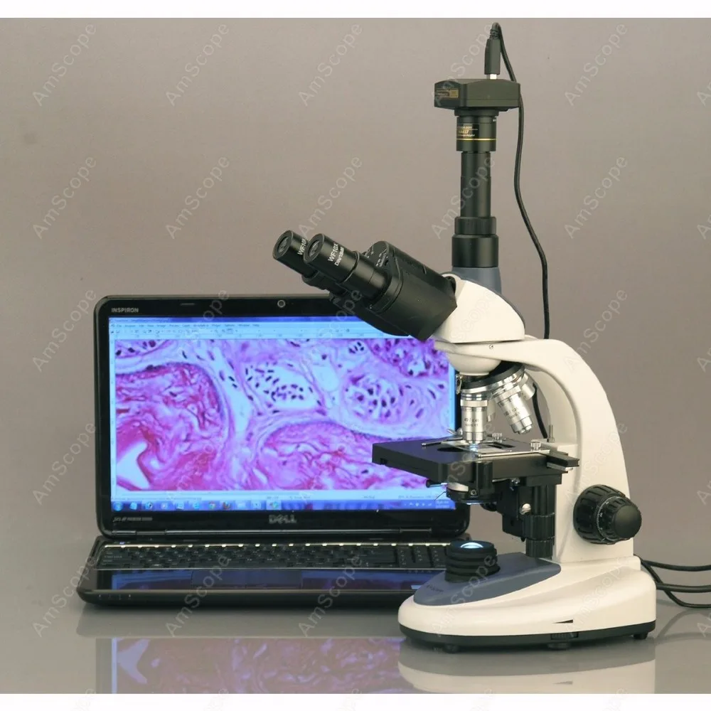 AmScope поставки 40X-2500X 3W светодиодный Тринокулярный составной Микроскоп с 1.3MP цифровой камерой T380C-M