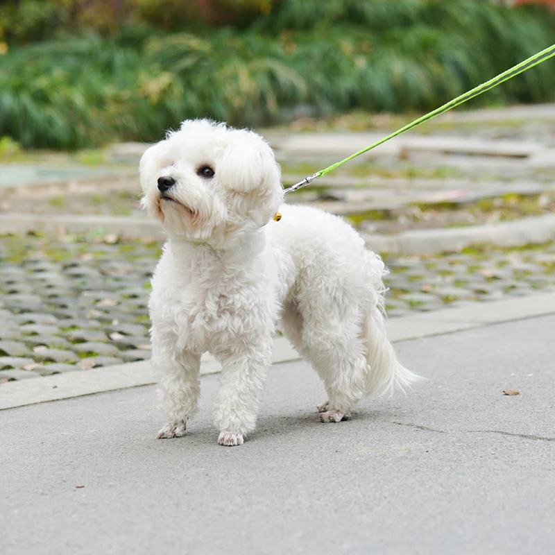 Высококачественный светоотражающий нейлоновый материал ошейник для домашних