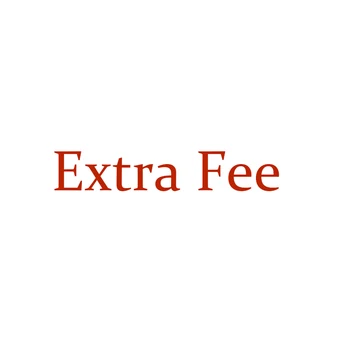 

2019 Extra Fee/cost just for the balance of your order/shipping cost/ remote area fee