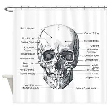 

Skull Forward - Decorative Fabric Shower Curtain (69"x70")