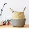 Garden Supplies