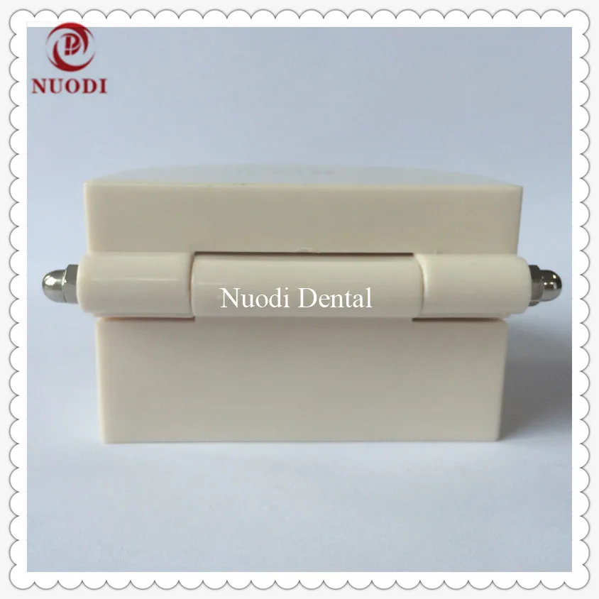Orthodontic teeth model-6