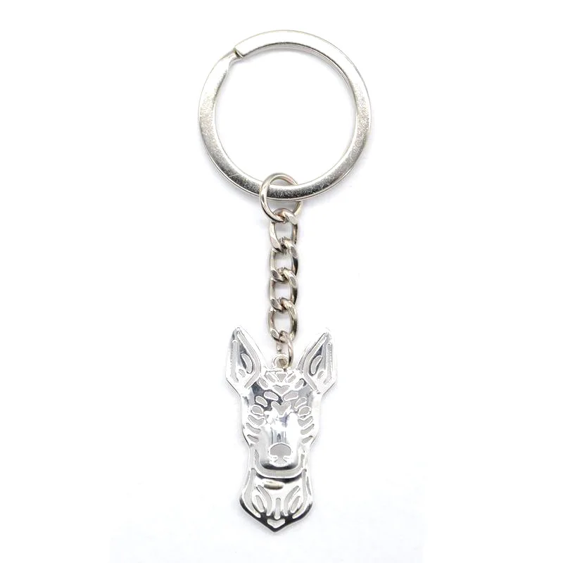 

2019 New Arrival Animal Alloy Pendant Key Chains Lovers' Metal Xoloitzcuintle Jewelry Key Chains