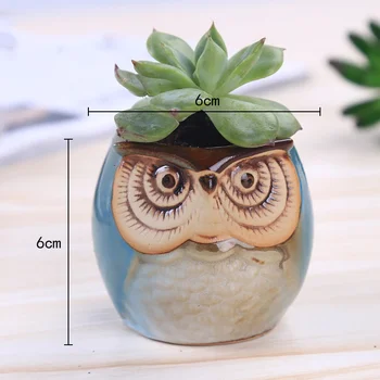 

6Pcs/Set Ceramic Owl Pot Succulent Plant Cactus Flower Pot Container Planter Bonsai Pots TSH Shop
