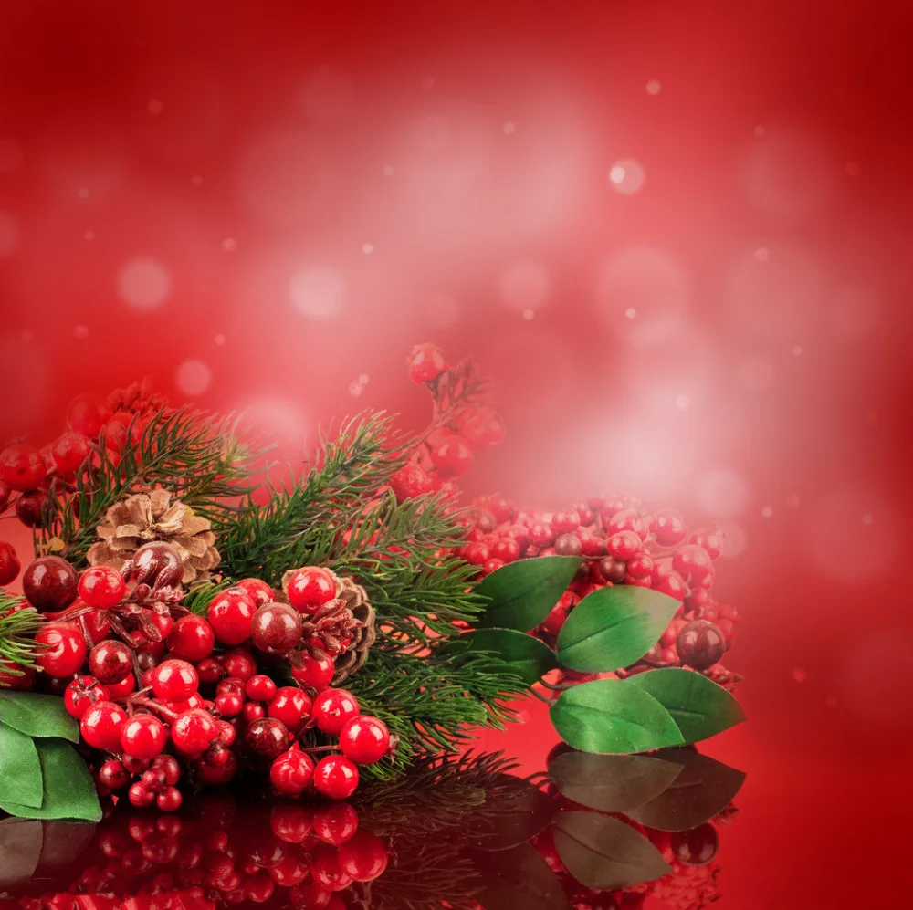 

10x10ft Christmas theme Vinyl Custom Photography Backdrops Props Studio Background S-2115