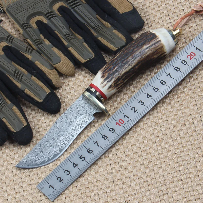 

Miker FREE SHIPPING Damascus knife - Chase Month Elder Straight Knives Antler Handle Damascus Steel Fixed Blade camping Knife ED