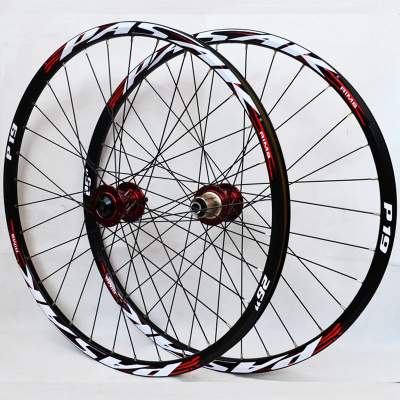 pasak mtb frame