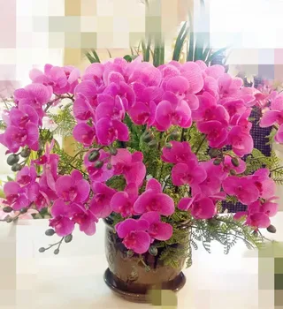 

Real Touch Butterfly Orchids Mini Phalaenopsis 12 heads Artificial pu Orchid Flower For Wedding Party Home Floral Decoration