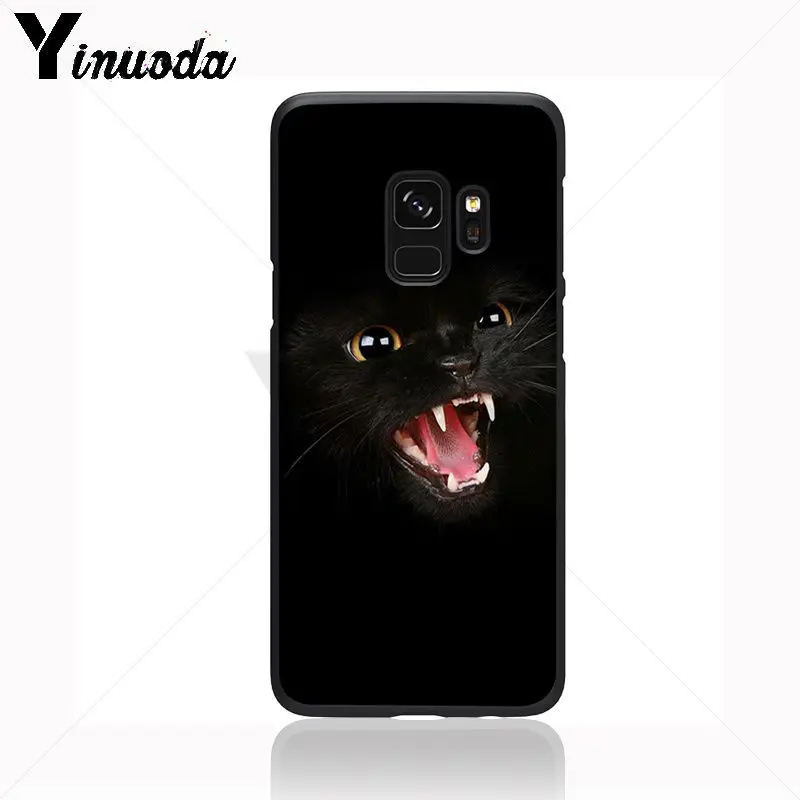 Black Cat Staring Eye
