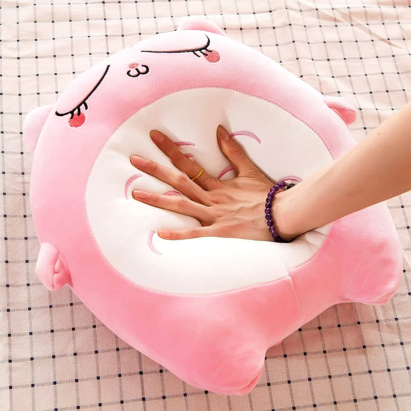 totoro soft