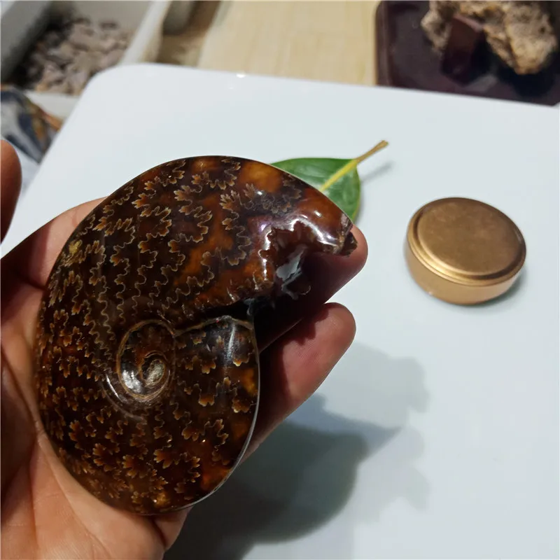 IMG20190224112226