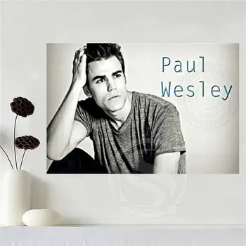 

Custom canvas paul wesley poster home decoration cloth fabric wall poster print Silk Fabric Print Free Shipping SQ0619