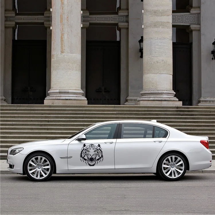 CSL-S17 (12)b
