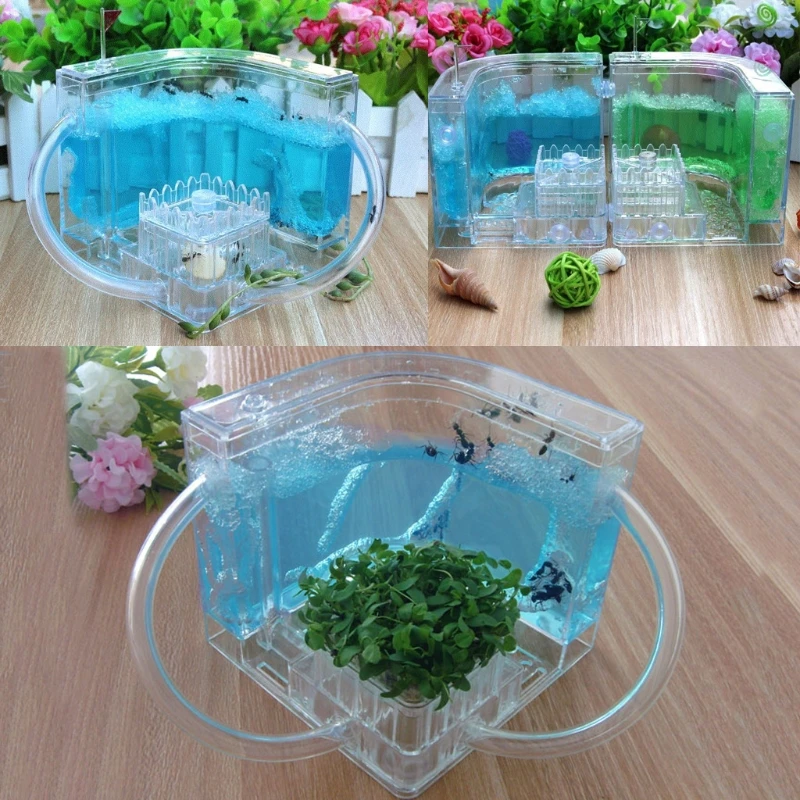 3D Ant Farm Educational Maze Live Feeding System Ants Habitat World font b Pet b font