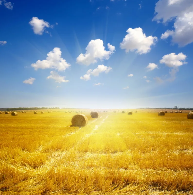 Unduh 5500 Background Langit Kuning Paling Keren